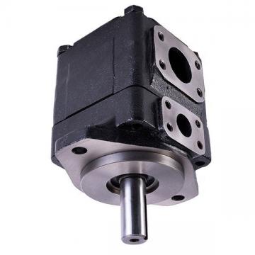 Denison PV10-2L1B-L00 Variable Displacement Piston Pump