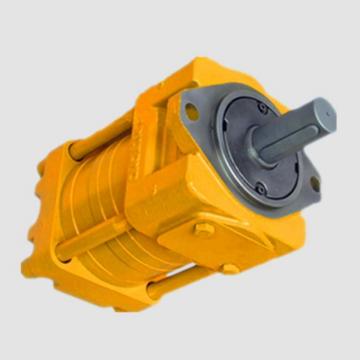 Sumitomo QT4323-31.5-4F Double Gear Pump