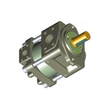 Sumitomo QT5143-80-31.5F Double Gear Pump