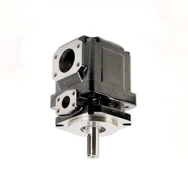 Denison PV20-2L5D-L00 Variable Displacement Piston Pump #1 image