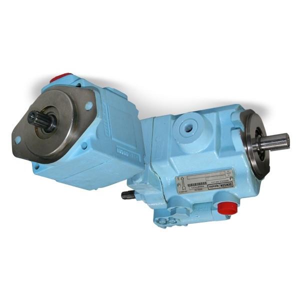 Denison PV10-2R1C-L00 Variable Displacement Piston Pump #2 image