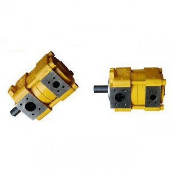 Sumitomo QT22-5L-A Gear Pump #2 image