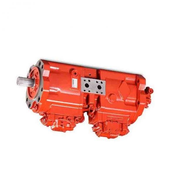 Sumitomo QT23-8L-A Gear Pump #1 image