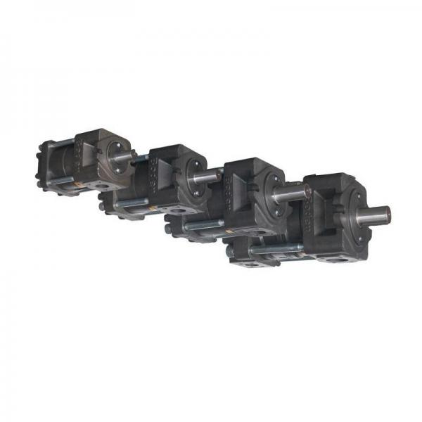 Sumitomo QT4322-25-6.3F Double Gear Pump #3 image