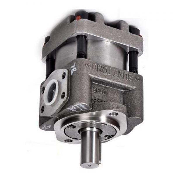 Sumitomo QT33-12.5F-A Gear Pump #1 image
